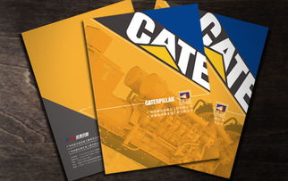 2011年廣州博凱品牌策劃設計機構 白云區專業廣告設計與畫冊創作